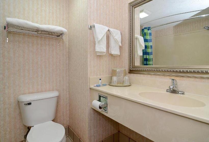 חדר סטנדרט, מיטת קינג, מותאם לאדם עם מוגבלויות, Best Western Canton Inn