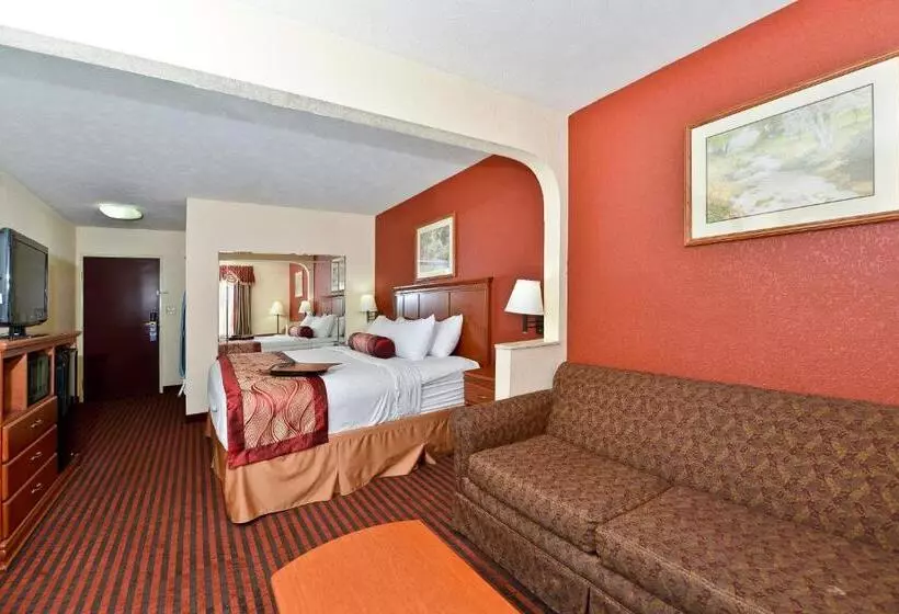 Standard-invahuone King-vuode, Best Western Canton Inn