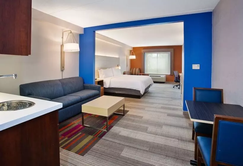 スイート, Holiday Inn Express & Suites Rochester Webster By Ihg