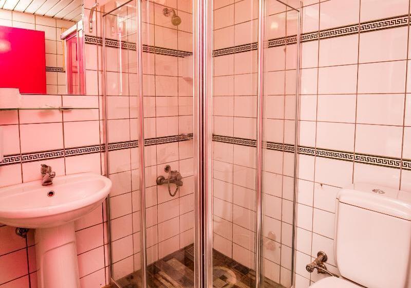 Camera Standard, Mera Park