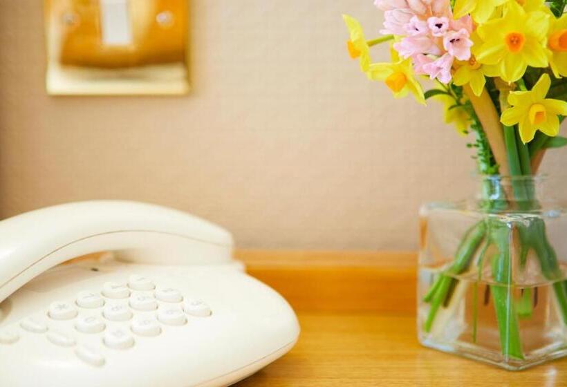 חדר יחיד קלאסי, Palm Court