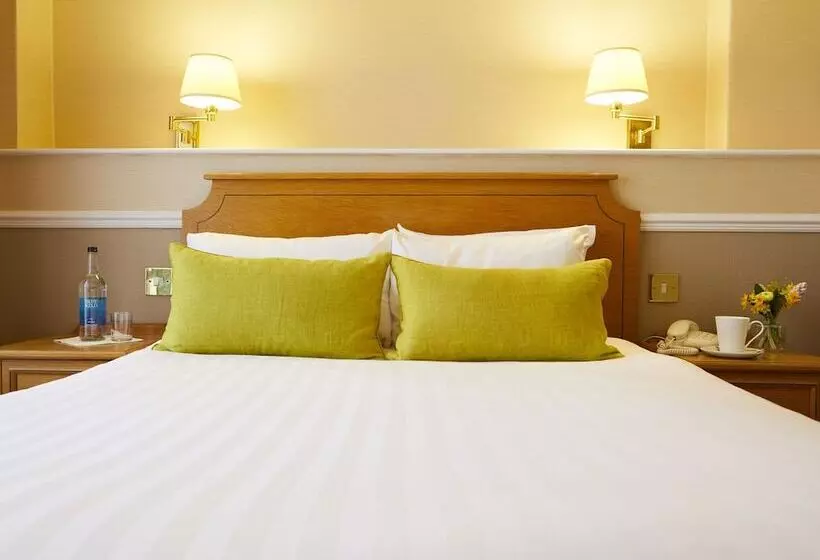 Standard-huone, Palm Court