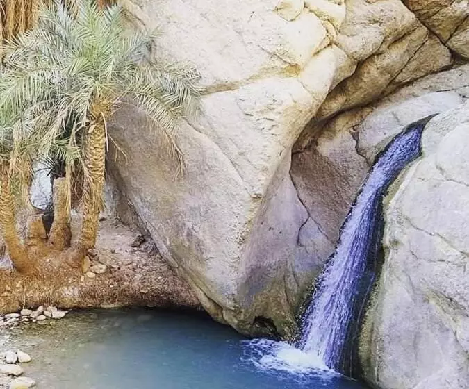 آپارتمان 1 خوابه, Résidence Loued