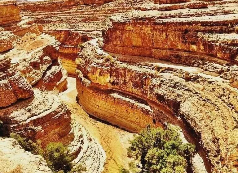 آپارتمان 1 خوابه, Résidence Loued