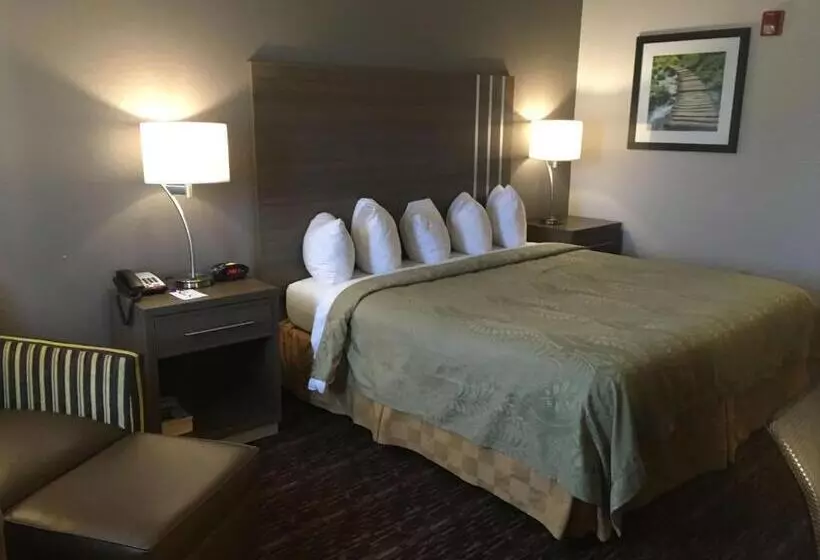 キングサイズベッドのスタンダードルーム, Surestay Plus  By Best Western Edmond