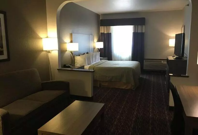 キングサイズベッドのスタンダードルーム, Surestay Plus  By Best Western Edmond