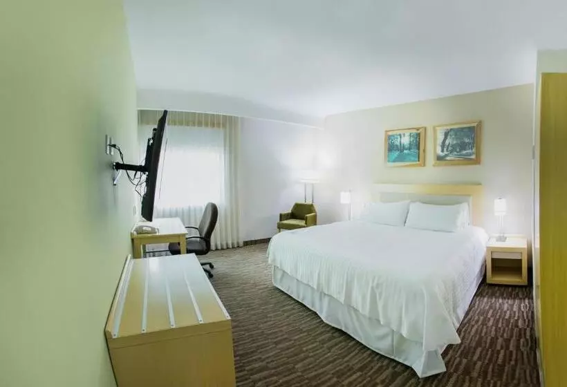 身障者適用キングサイズベッドルーム, Excellence Express & Suites