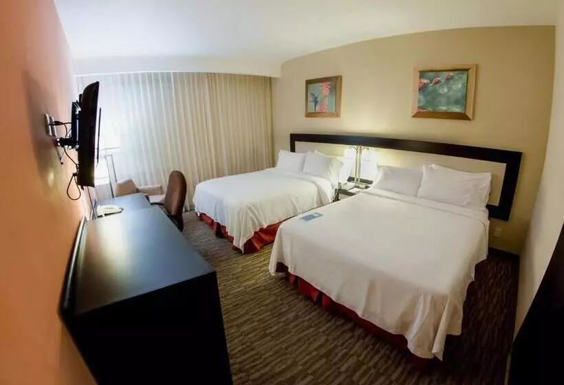 デラックスルーム, Excellence Express & Suites