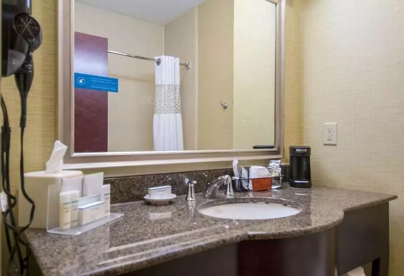 スイート, Hampton Inn & Suites Waxahachie