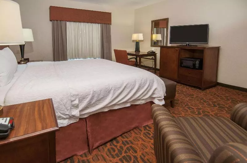 キングサイズベッドのスタンダードルーム, Hampton Inn & Suites Waxahachie