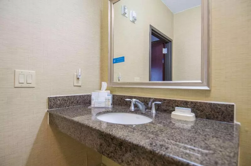 キングサイズベッドのスタンダードルーム, Hampton Inn & Suites Waxahachie
