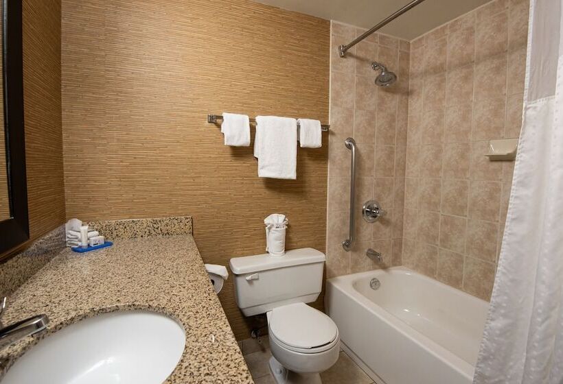 Номер Стандарт 2 Двуспальные Кровати, Holiday Inn Express Hotel & Suites Chatham South, An Ihg