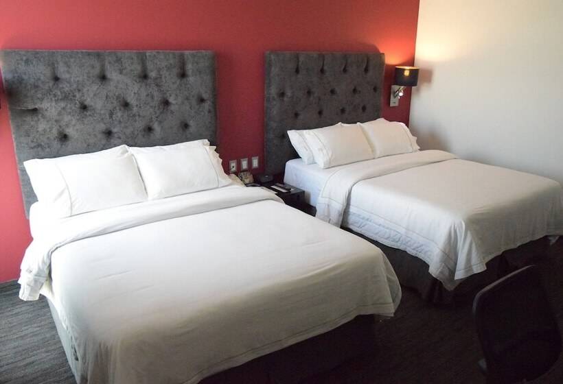 غرفة قياسية, Holiday Inn Express Toluca Galerias Metepec, An Ihg