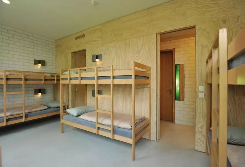 تختخواب در اتاق مشترک, Basel Youth Hostel