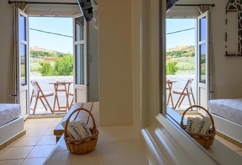 Студия Стандарт, Filoxenia Apartments