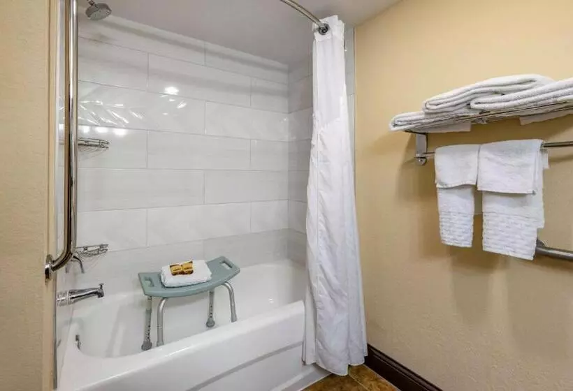 身障者適用スタンダードルーム, Bw Plus Flagler Beach Area Inn & Suites