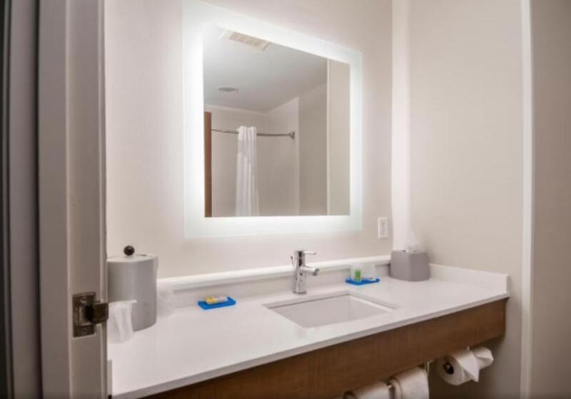 חדר סטנדרט, מיטת קינג, מותאם לאדם עם מוגבלויות, Holiday Inn Express Hotel & Suites Biloxi  Ocean Springs, An Ihg