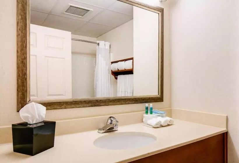 スタンダードルーム, Holiday Inn Express Hotel & Suites Coralville, An Ihg