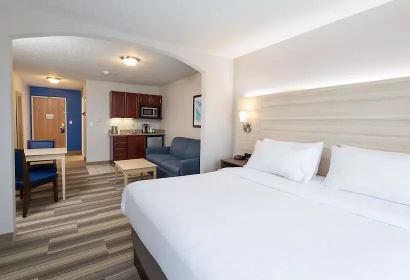 スイート, Holiday Inn Express Hotel & Suites Grand Blanc, An Ihg