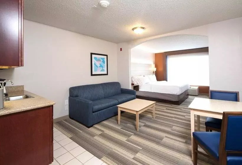 スイート, Holiday Inn Express Hotel & Suites Grand Blanc, An Ihg