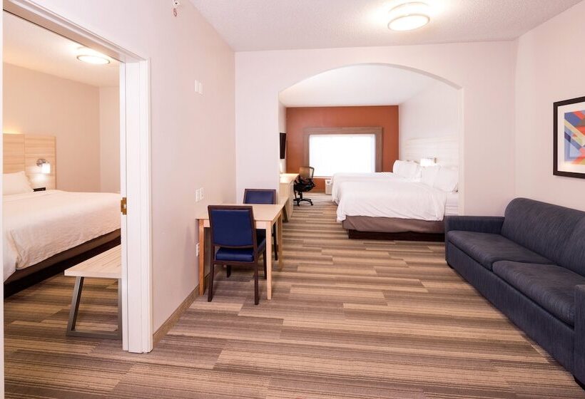スイート, Holiday Inn Express Hotel & Suites Grand Blanc, An Ihg