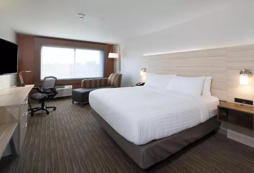 キングサイズベッドのスタンダードルーム, Holiday Inn Express Hotel & Suites Grand Blanc, An Ihg