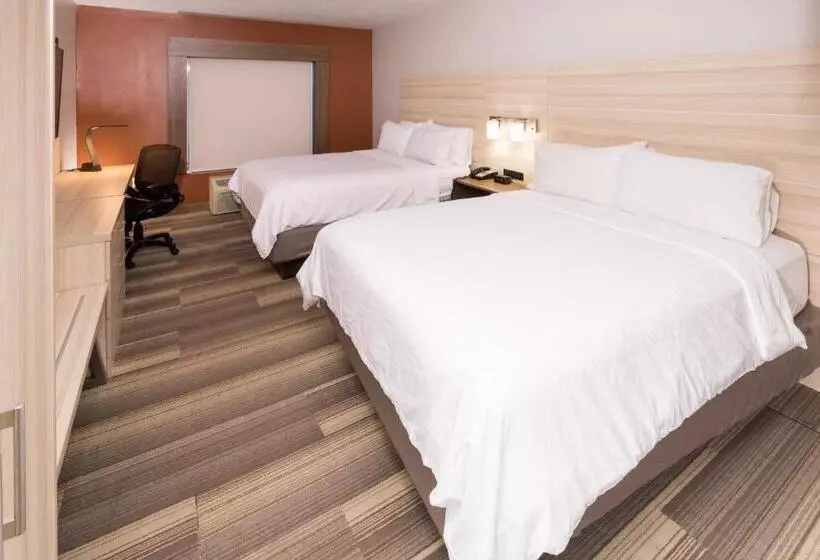 スタンダードルーム, Holiday Inn Express Hotel & Suites Grand Blanc, An Ihg