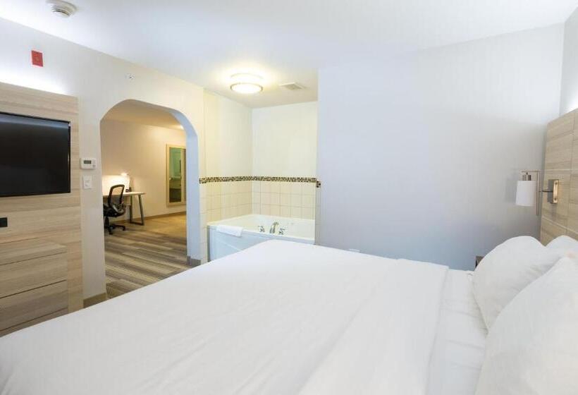 Люкс Кровать Кинг, Holiday Inn Express Hotel & Suites Grand Blanc, An Ihg