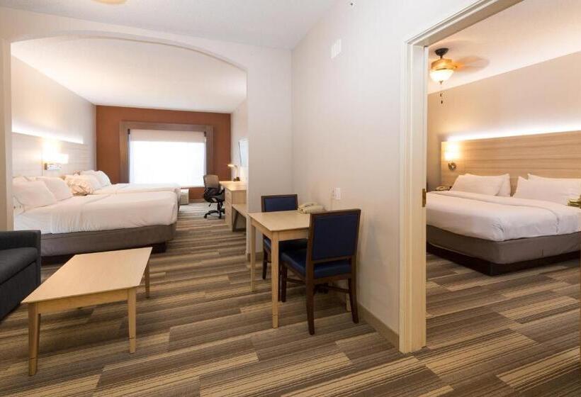 スーペリアースイート, Holiday Inn Express Hotel & Suites Grand Blanc, An Ihg