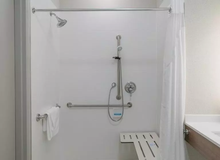 身障者適用キングサイズベッドルーム, Holiday Inn Express Hotel & Suites Grand Blanc, An Ihg