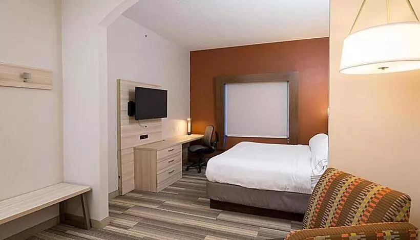 身障者適用キングサイズベッドルーム, Holiday Inn Express Hotel & Suites Grand Blanc, An Ihg