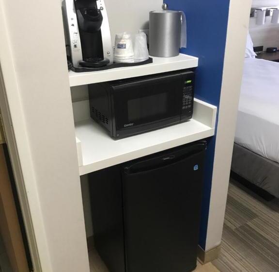 身障者適用キングサイズベッドルーム, Holiday Inn Express Hotel & Suites Grand Blanc, An Ihg