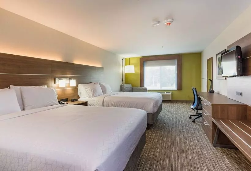 スタンダードルーム, Holiday Inn Express Hotel & Suites Swansea, An Ihg