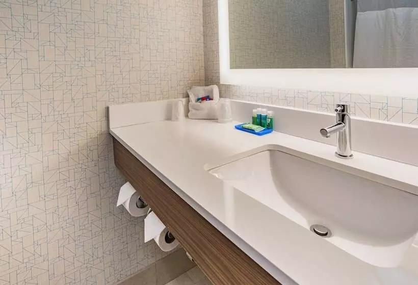 スイート, Holiday Inn Express Hotel & Suites Swansea, An Ihg