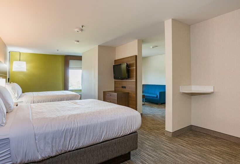 Люкс, Holiday Inn Express Hotel & Suites Swansea, An Ihg