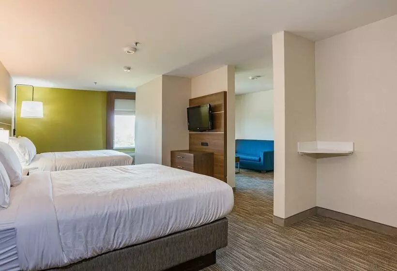 スイート, Holiday Inn Express Hotel & Suites Swansea, An Ihg