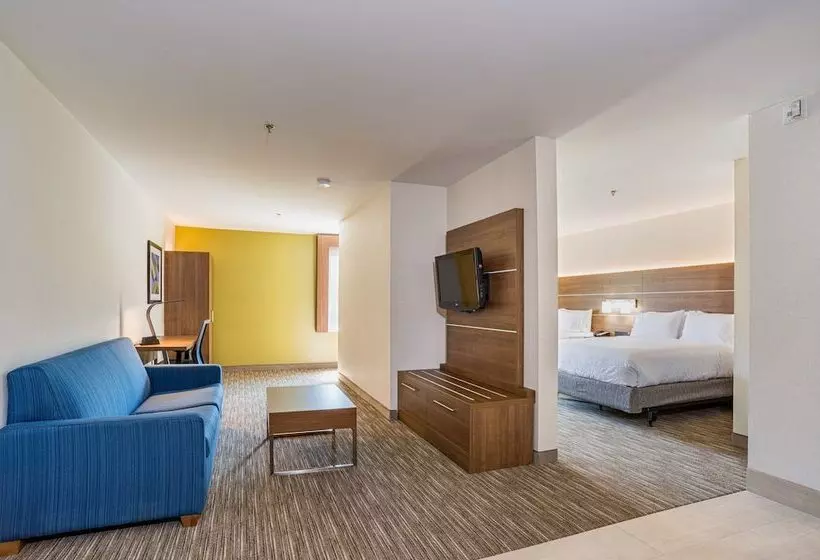 スイート, Holiday Inn Express Hotel & Suites Swansea, An Ihg