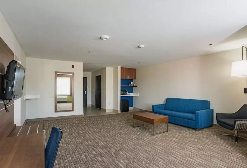 スイート, Holiday Inn Express Hotel & Suites Swansea, An Ihg