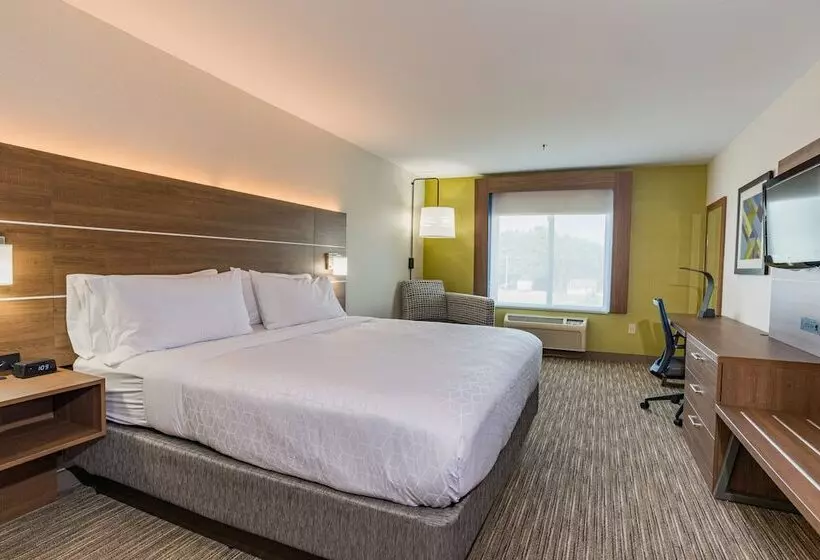 身障者適用スイートルーム, Holiday Inn Express Hotel & Suites Swansea, An Ihg