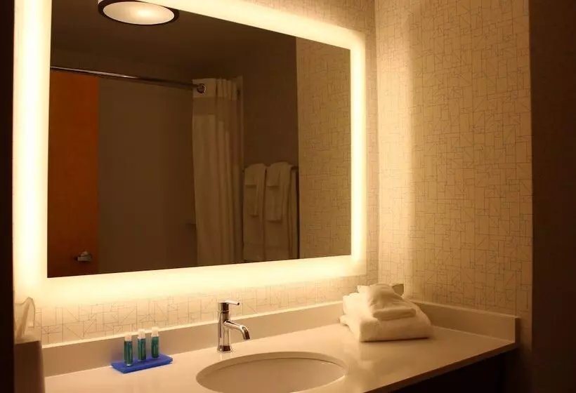 スタンダードルーム, Holiday Inn Express Forest City, An Ihg