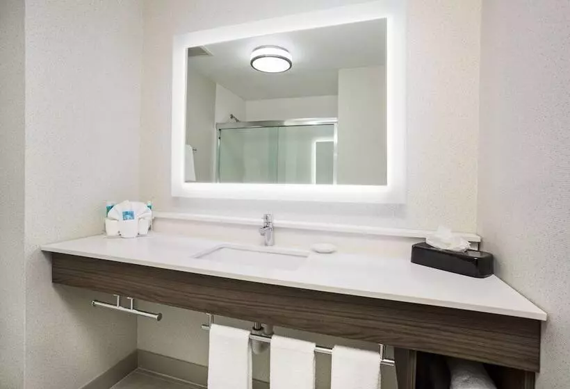 Standard-huone, Holiday Inn Express Kansas City At The Legends!, An Ihg