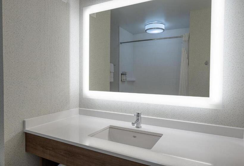 스탠다드 룸 킹사이즈 침대, Holiday Inn Express Radcliff Fort Knox, An Ihg