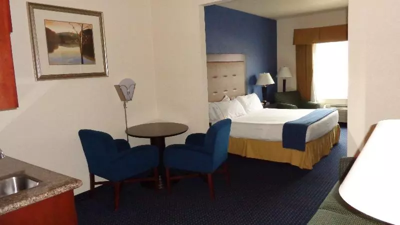 スタンダードルーム, Holiday Inn Express & Suites New Buffalo, Mi, An Ihg