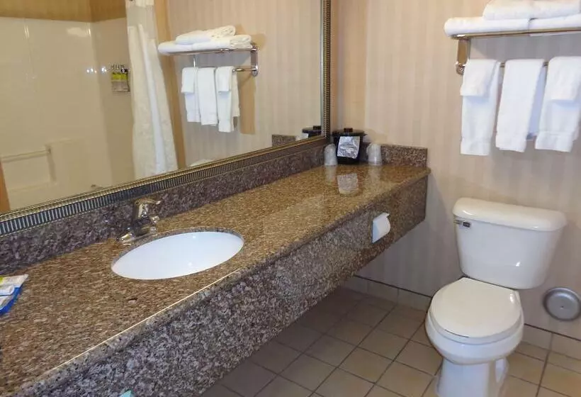 スタンダードルーム, Holiday Inn Express & Suites New Buffalo, Mi, An Ihg