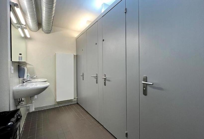 اتاق استاندارد چهارنفره با سرویس بهداشتی مشترک, Zermatt Youth Hostel