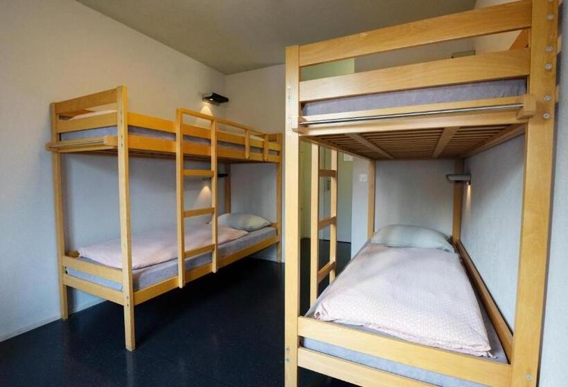 اتاق استاندارد چهارنفره با سرویس بهداشتی مشترک, Zermatt Youth Hostel