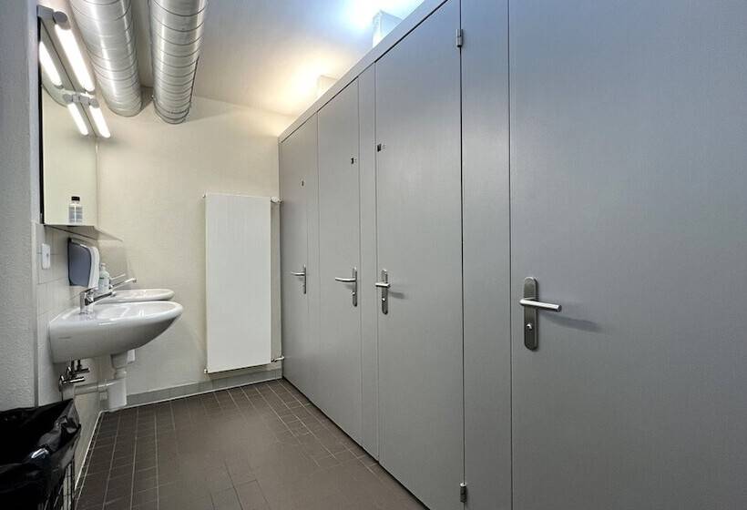 اتاق استاندارد چهارنفره با سرویس بهداشتی مشترک, Zermatt Youth Hostel