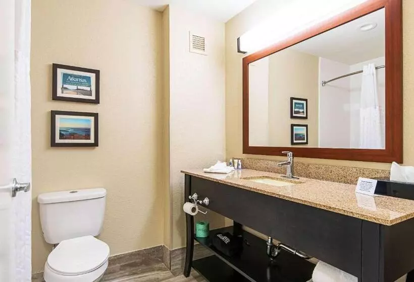 キングサイズベッドのスイートルーム, Comfort Inn & Suites Pine Bluff
