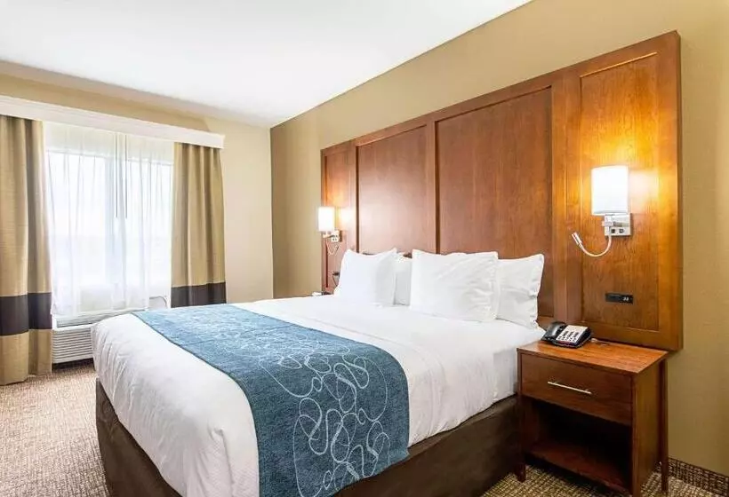 キングサイズベッドのスイートルーム, Comfort Inn & Suites Pine Bluff