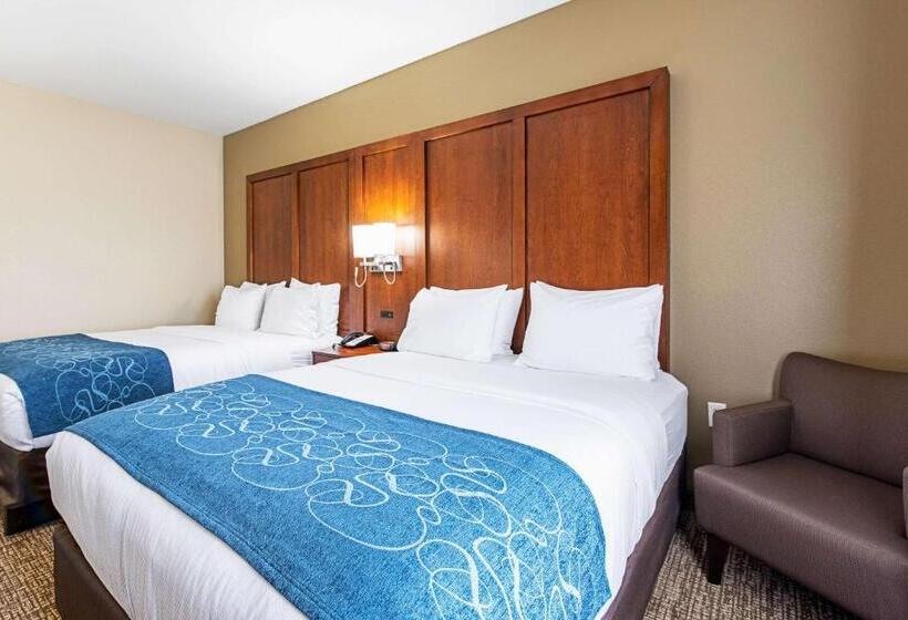 스탠다드 룸, Comfort Inn & Suites Pine Bluff